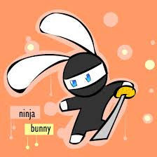 Ninja Bunny